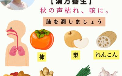 植物の色素成分は第七の栄養素！